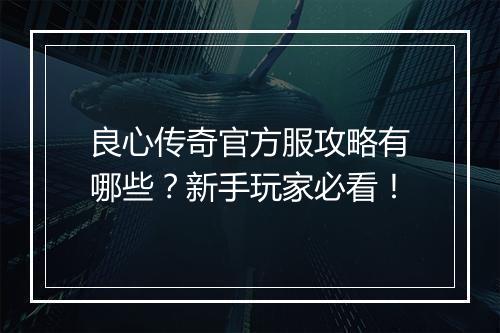 良心传奇官方服攻略有哪些？新手玩家必看！