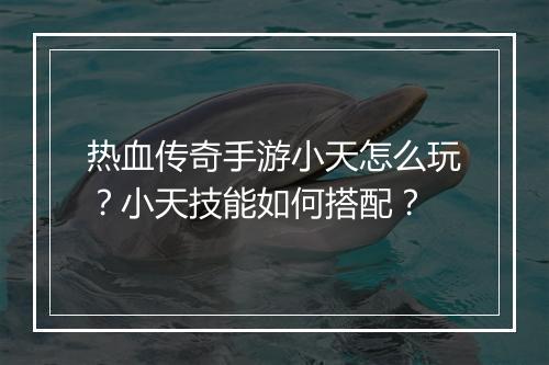 热血传奇手游小天怎么玩？小天技能如何搭配？