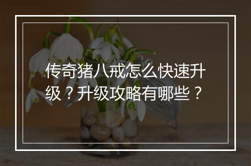 传奇猪八戒怎么快速升级？升级攻略有哪些？