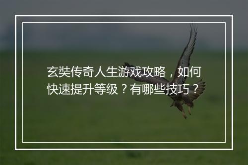 玄奘传奇人生游戏攻略，如何快速提升等级？有哪些技巧？