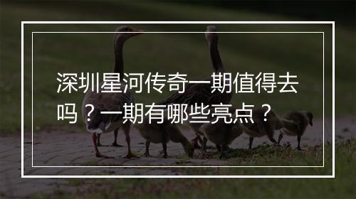 深圳星河传奇一期值得去吗？一期有哪些亮点？