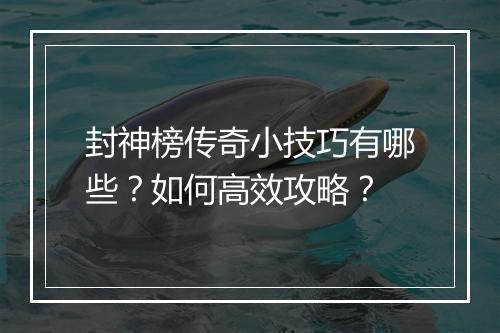 封神榜传奇小技巧有哪些？如何高效攻略？