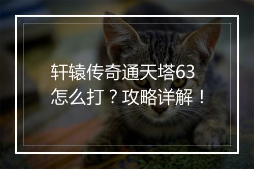 轩辕传奇通天塔63怎么打？攻略详解！