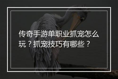 传奇手游单职业抓宠怎么玩？抓宠技巧有哪些？