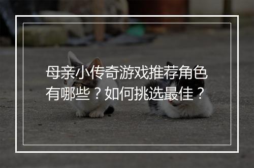 母亲小传奇游戏推荐角色有哪些？如何挑选最佳？