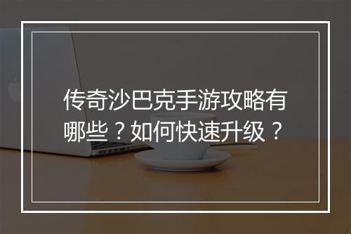 传奇沙巴克手游攻略有哪些？如何快速升级？