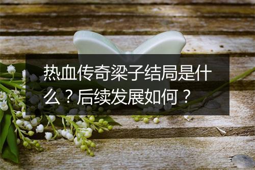 热血传奇梁子结局是什么？后续发展如何？