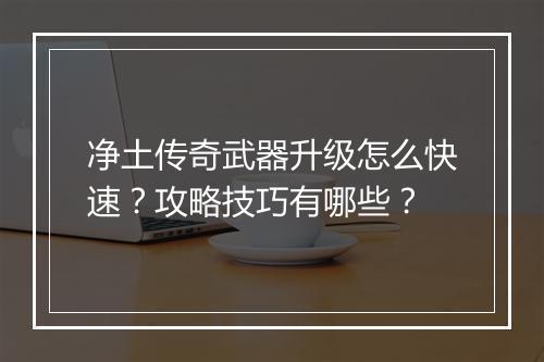 净土传奇武器升级怎么快速？攻略技巧有哪些？