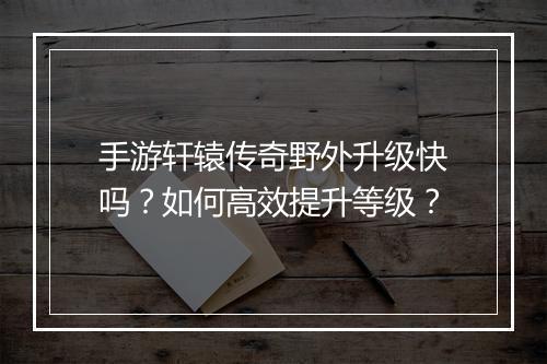 手游轩辕传奇野外升级快吗？如何高效提升等级？