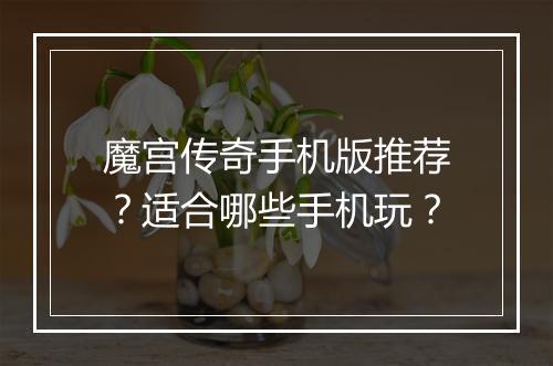 魔宫传奇手机版推荐？适合哪些手机玩？