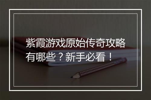 紫霞游戏原始传奇攻略有哪些？新手必看！