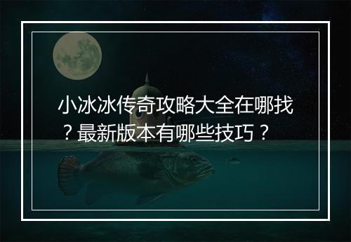 小冰冰传奇攻略大全在哪找？最新版本有哪些技巧？