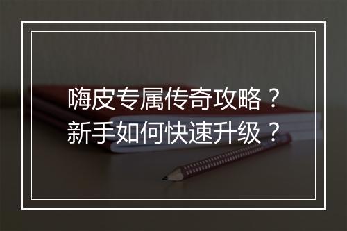 嗨皮专属传奇攻略？新手如何快速升级？