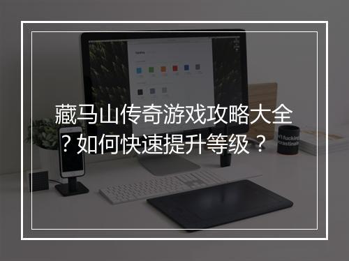 藏马山传奇游戏攻略大全？如何快速提升等级？