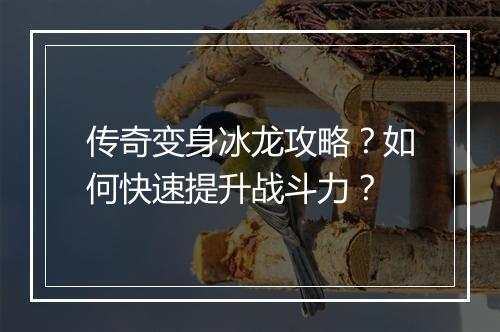 传奇变身冰龙攻略？如何快速提升战斗力？