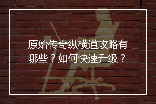原始传奇纵横道攻略有哪些？如何快速升级？