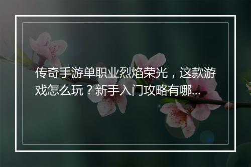 传奇手游单职业烈焰荣光，这款游戏怎么玩？新手入门攻略有哪些？
