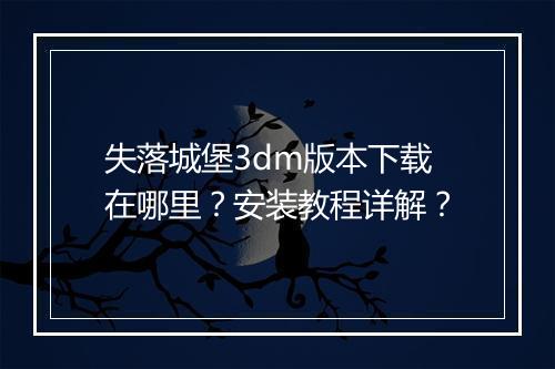 失落城堡3dm版本下载在哪里？安装教程详解？