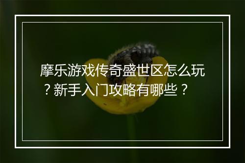 摩乐游戏传奇盛世区怎么玩？新手入门攻略有哪些？
