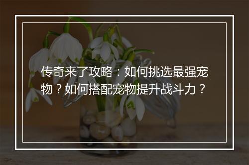 传奇来了攻略：如何挑选最强宠物？如何搭配宠物提升战斗力？