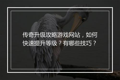 传奇升级攻略游戏网站，如何快速提升等级？有哪些技巧？