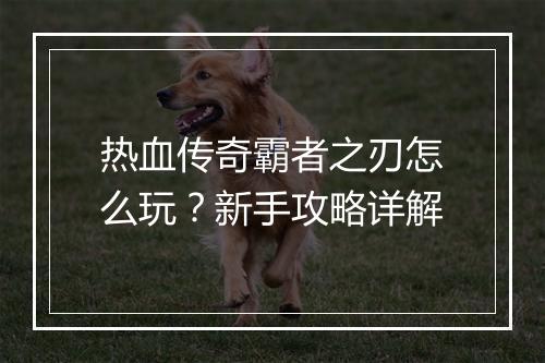 热血传奇霸者之刃怎么玩？新手攻略详解