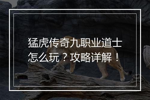 猛虎传奇九职业道士怎么玩？攻略详解！