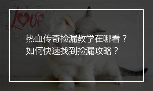 热血传奇捡漏教学在哪看？如何快速找到捡漏攻略？