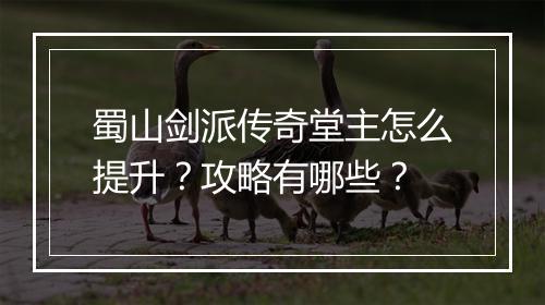 蜀山剑派传奇堂主怎么提升？攻略有哪些？