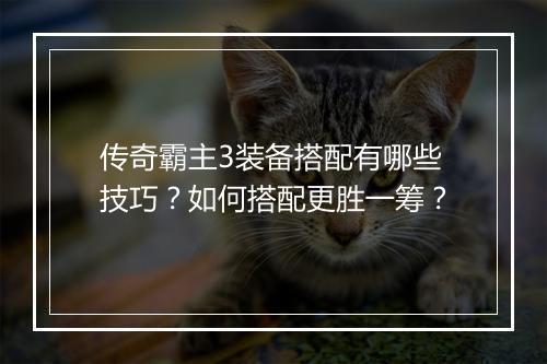 传奇霸主3装备搭配有哪些技巧？如何搭配更胜一筹？