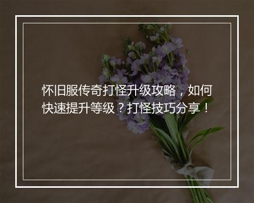 怀旧服传奇打怪升级攻略，如何快速提升等级？打怪技巧分享！