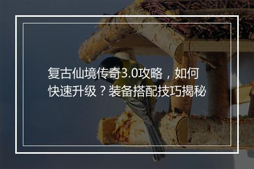 复古仙境传奇3.0攻略，如何快速升级？装备搭配技巧揭秘