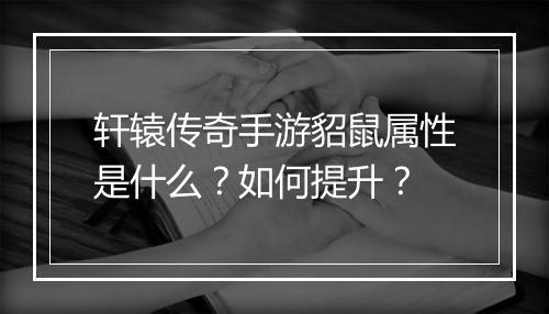 轩辕传奇手游貂鼠属性是什么？如何提升？