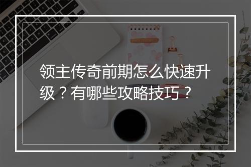 领主传奇前期怎么快速升级？有哪些攻略技巧？