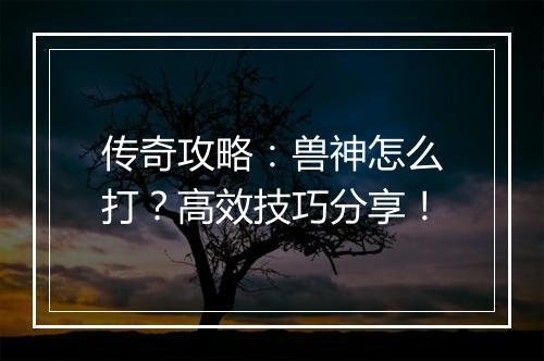 传奇攻略：兽神怎么打？高效技巧分享！