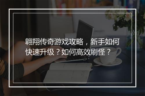 翱翔传奇游戏攻略，新手如何快速升级？如何高效刷怪？