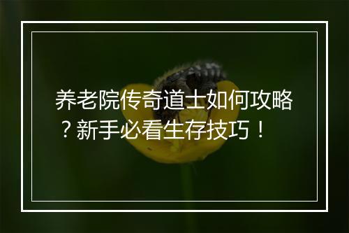 养老院传奇道士如何攻略？新手必看生存技巧！