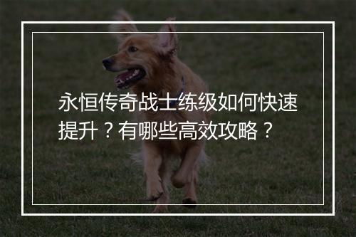 永恒传奇战士练级如何快速提升？有哪些高效攻略？