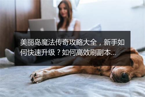 美丽岛魔法传奇攻略大全，新手如何快速升级？如何高效刷副本？