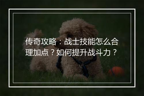 传奇攻略：战士技能怎么合理加点？如何提升战斗力？