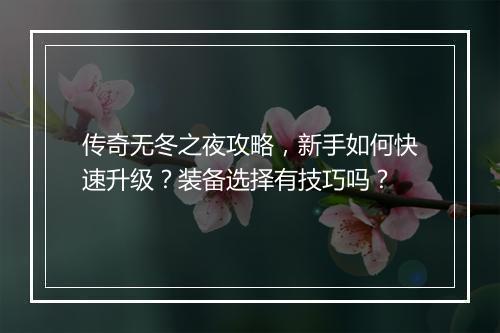 传奇无冬之夜攻略，新手如何快速升级？装备选择有技巧吗？
