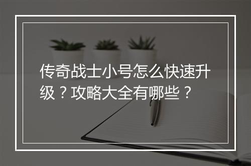 传奇战士小号怎么快速升级？攻略大全有哪些？