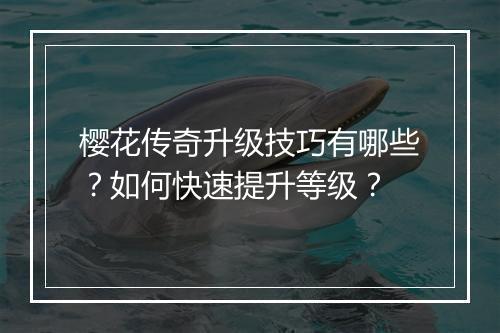 樱花传奇升级技巧有哪些？如何快速提升等级？