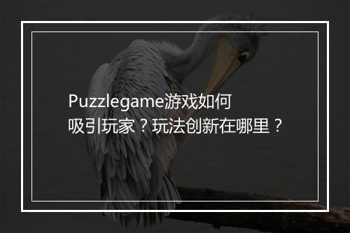 Puzzlegame游戏如何吸引玩家？玩法创新在哪里？