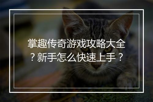 掌趣传奇游戏攻略大全？新手怎么快速上手？