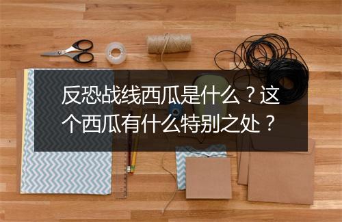 反恐战线西瓜是什么？这个西瓜有什么特别之处？