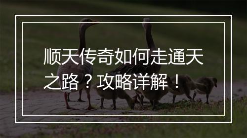 顺天传奇如何走通天之路？攻略详解！