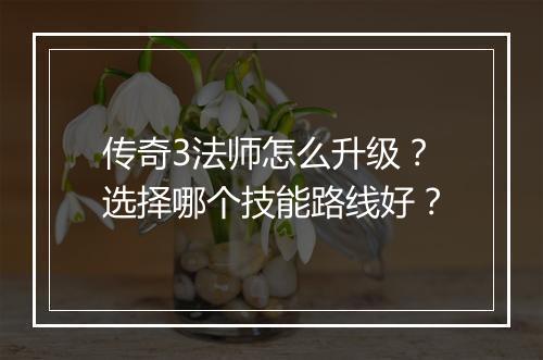 传奇3法师怎么升级？选择哪个技能路线好？
