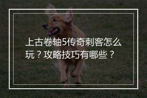 上古卷轴5传奇刺客怎么玩？攻略技巧有哪些？