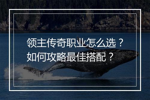 领主传奇职业怎么选？如何攻略最佳搭配？